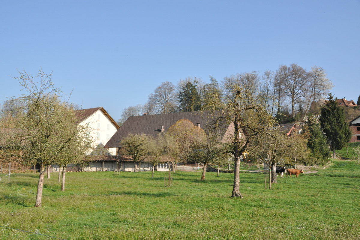 Mühlehof