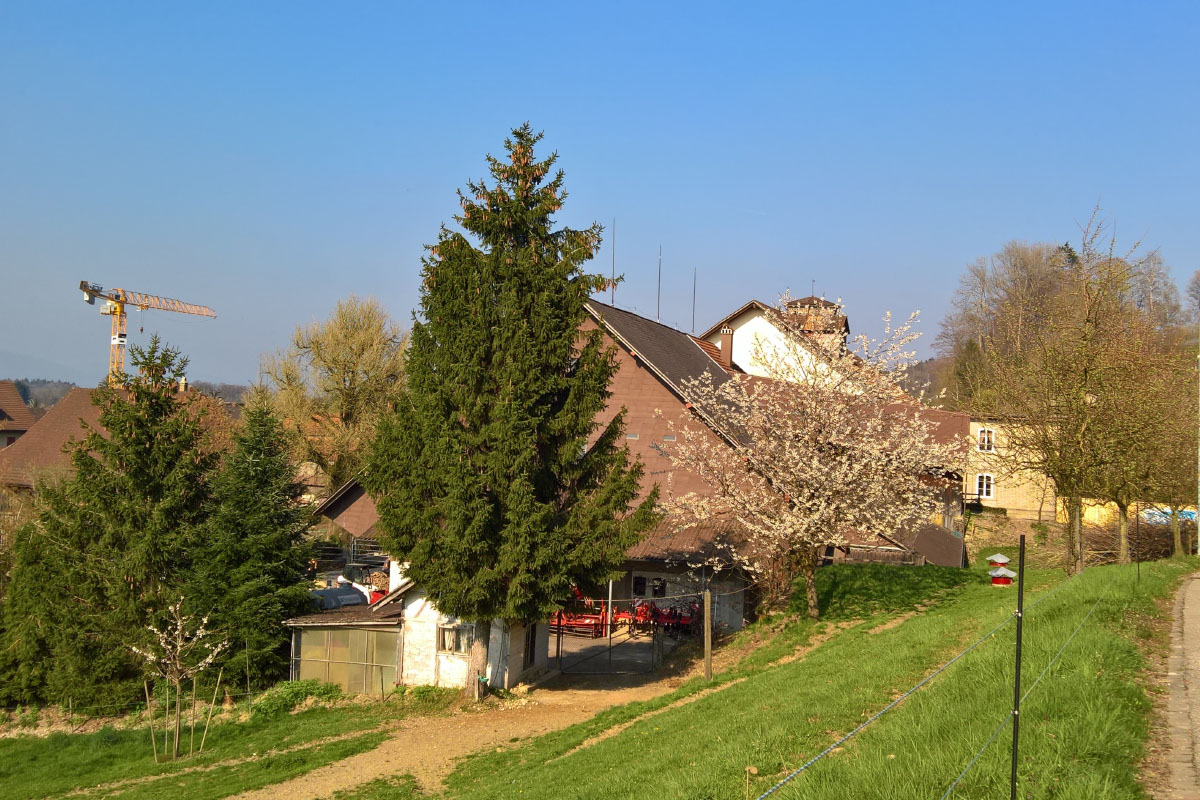 Mühlehof